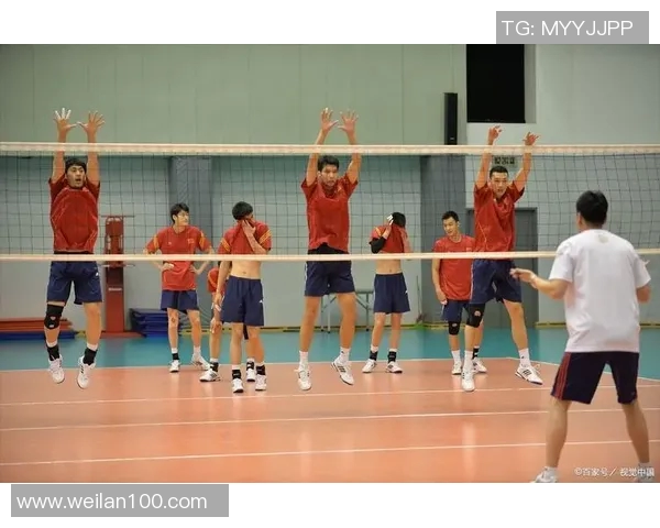聚焦排球：探讨杭州排球队员个人能力提升与团队协作的关系