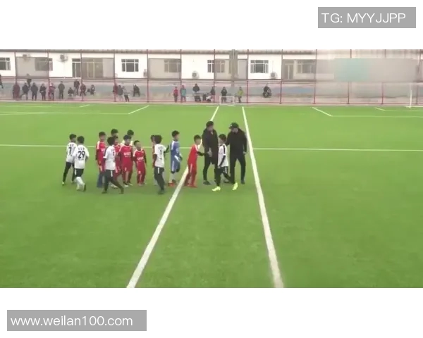 重庆足球队现状分析与未来展望聚焦球队发展与球迷期待