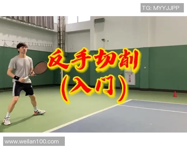 北京网球队技术深度解析与训练方法探讨