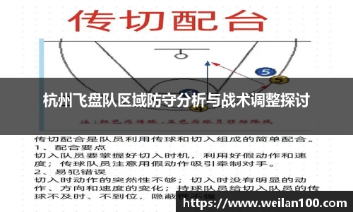 杭州飞盘队区域防守分析与战术调整探讨
