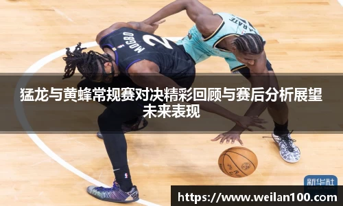 猛龙与黄蜂常规赛对决精彩回顾与赛后分析展望未来表现